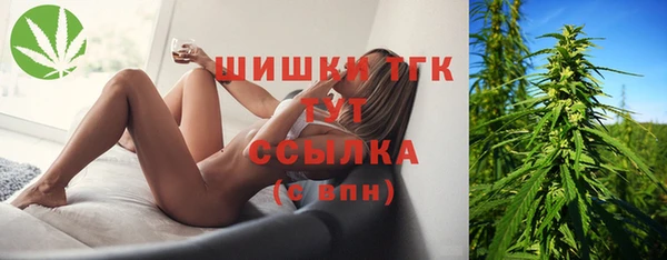 шишки Вяземский