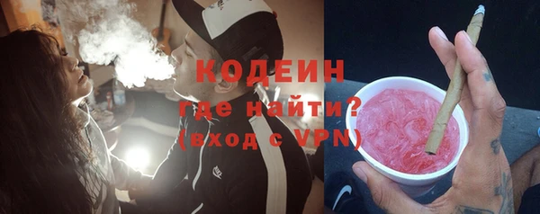 шишки Вяземский