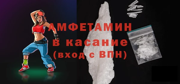 шишки Вяземский