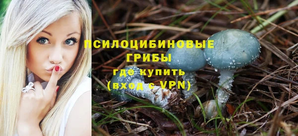 герыч Вязьма