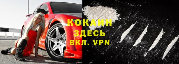 шишки Вяземский
