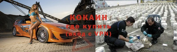 шишки Вяземский