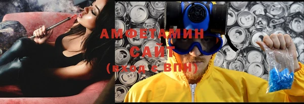 шишки Вяземский
