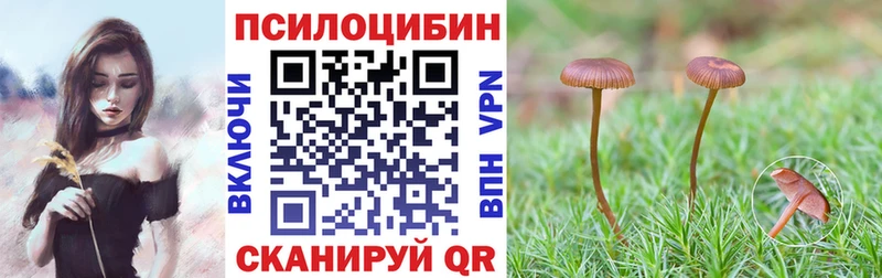 купить наркотики цена  Гусиноозёрск  Псилоцибиновые грибы мухоморы 