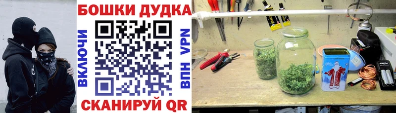 Бошки марихуана семена  Гусиноозёрск 