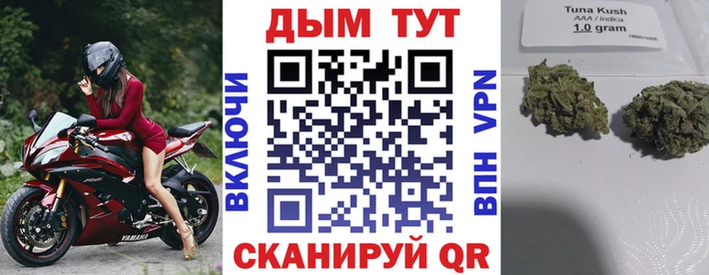 Каннабис сатива Гусиноозёрск